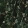 Green Pattern