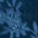 BLUE PATTERN