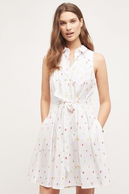 anthropologie shirtdress