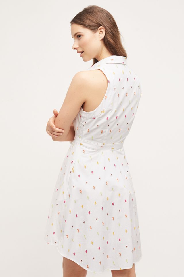 Paleta Shirtdress #3