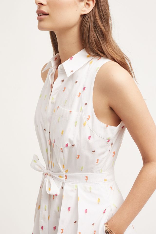 Paleta Shirtdress #4