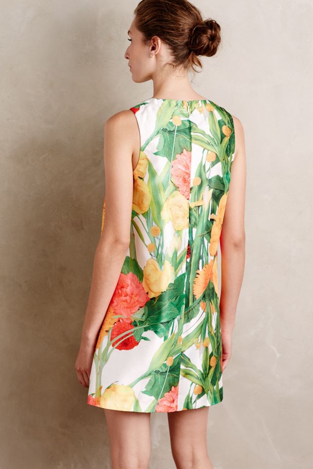 Naturalist Dress #1