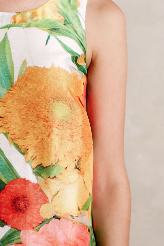 Naturalist Dress #2