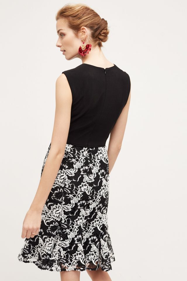 Monorose Midi Dress #1