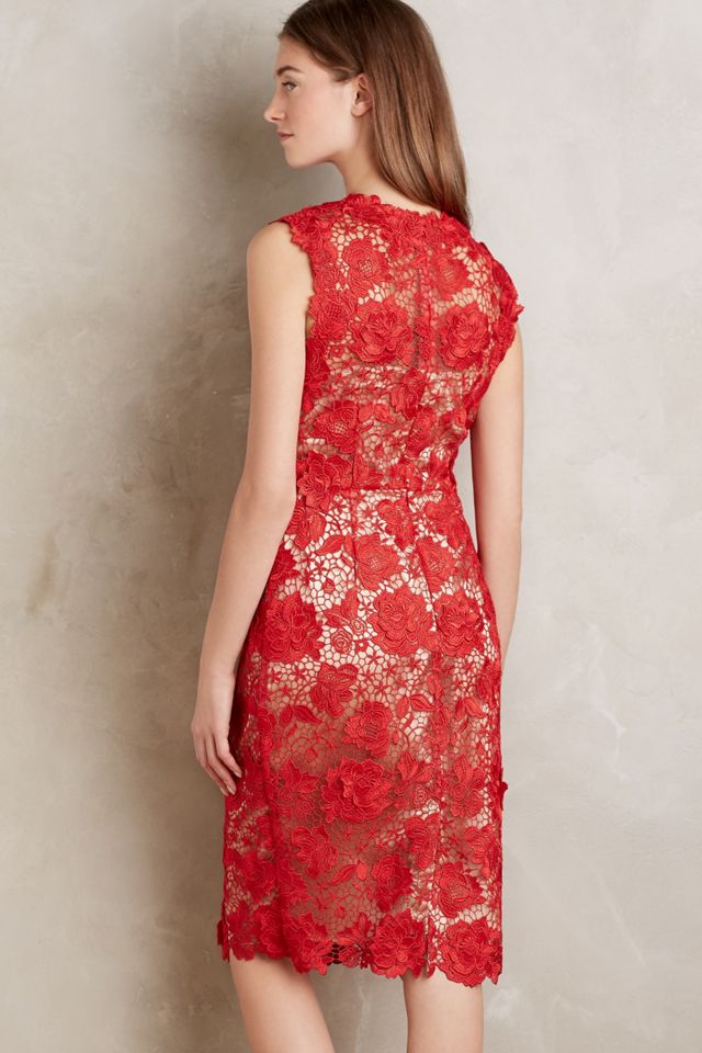 Coquelicot Pencil Dress #1