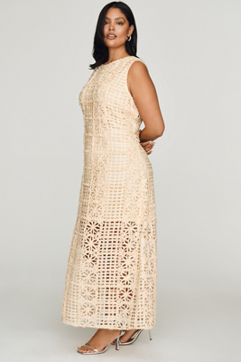 Endless Rose Lace Midi Dress | Anthropologie