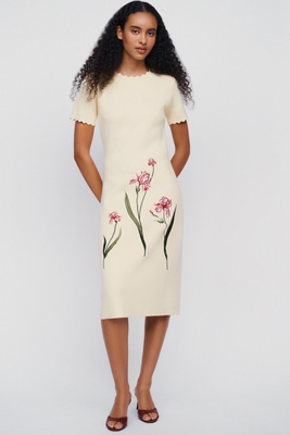 English Factory 100% Cotton Knit Midi Dress by Anthropologie