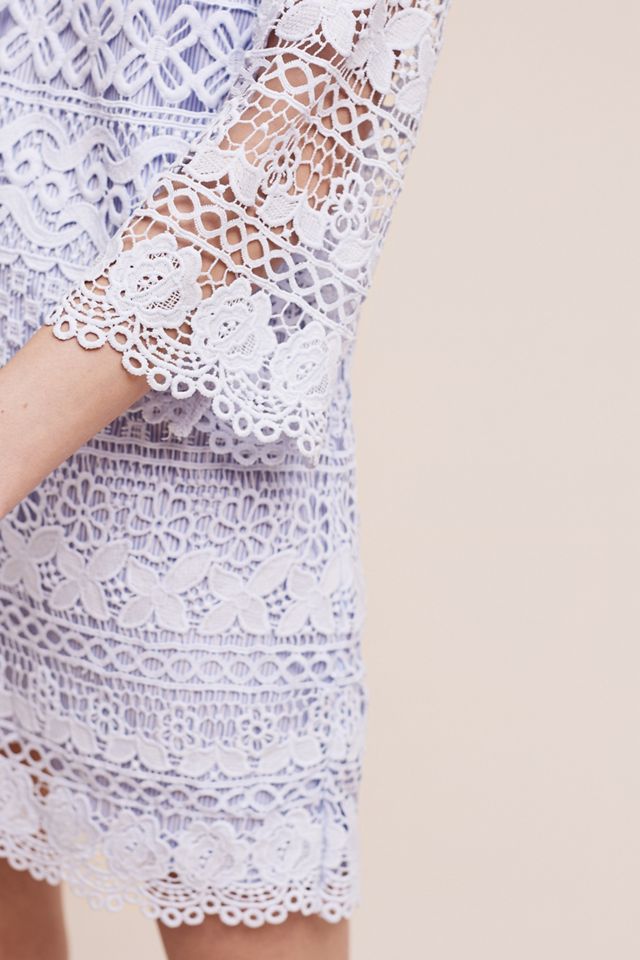 hd in paris lace dress HD in Paris Anthropologie Black/Beige Lace Dress, Lined, Size M