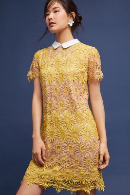 sunflower lace dress