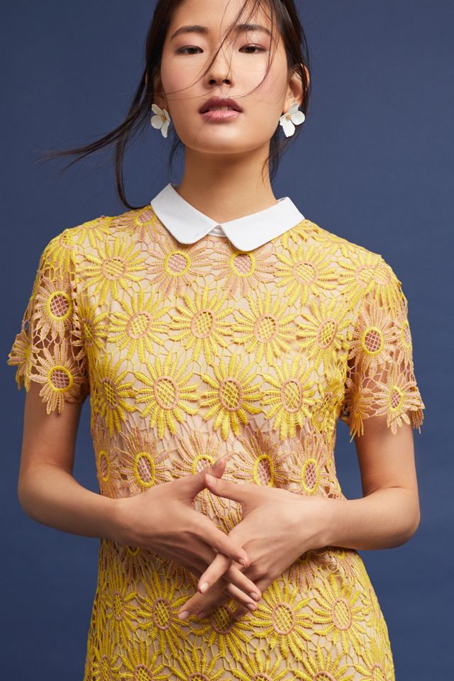 Sunflower Lace Dress #1