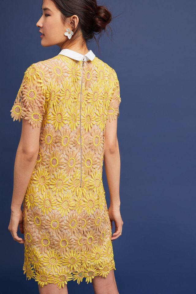 Sunflower Lace Dress #3