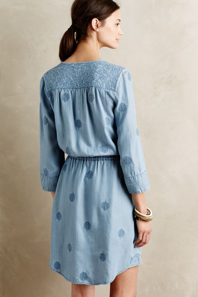 Plumage Chambray Dress #1