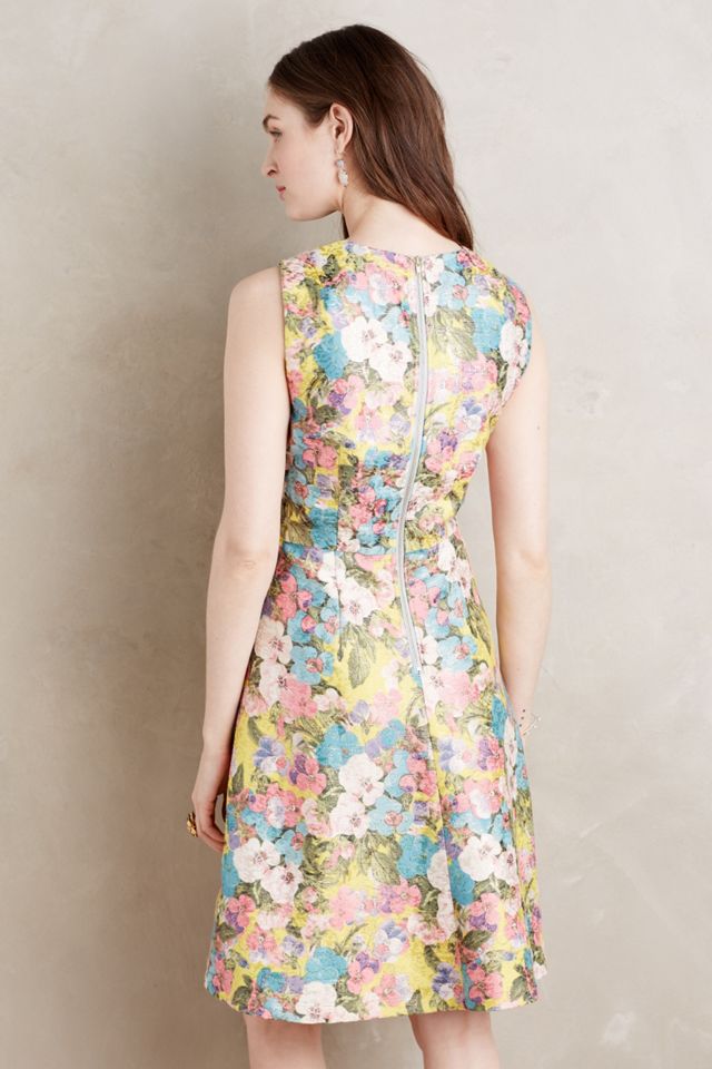 Sungarden Petite Dress #1