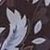 Blue Brown Floral
