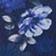 Blue Floral