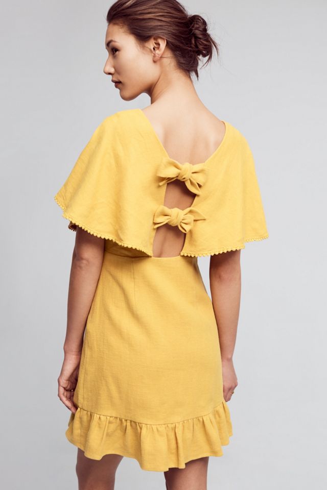 Fluttered & Flounced Dress #3