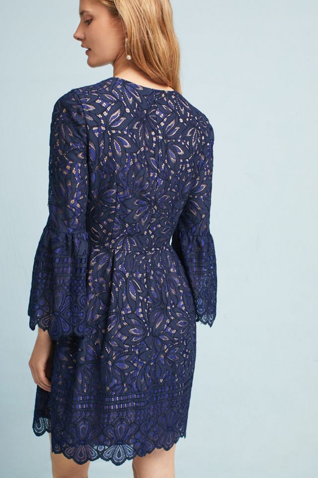Reverie Lace Dress | Anthropologie