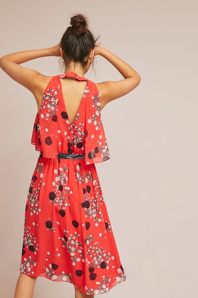 Castania Midi Dress #2