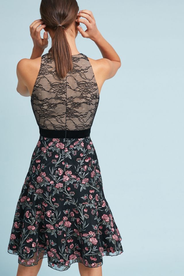 ML Monique Lhuillier Embroidered Lace Dress | Anthropologie