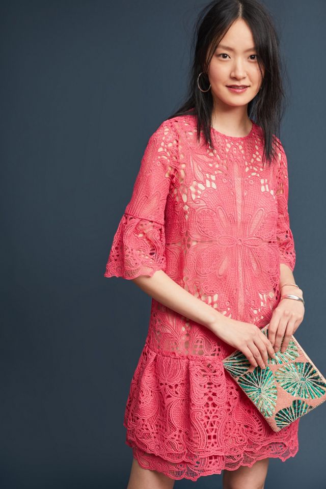 long sleeve lace dress navy Navy Tailored Lace Midi Dress – self-portrait-US main image 0