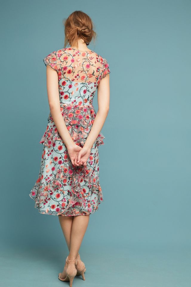 ML Monique Lhuillier Garden Party Embroidered Dress | Anthropologie
