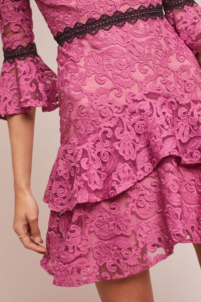 knee length dresses for ladies Embroidered Strapless Tea Length Dress 10 / Powder