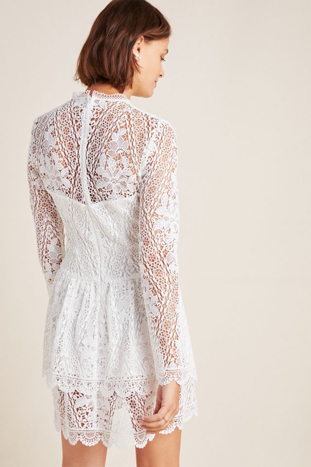 ML Monique Lhuillier Asta Lace Mini Dress #1