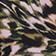 Black Pattern
