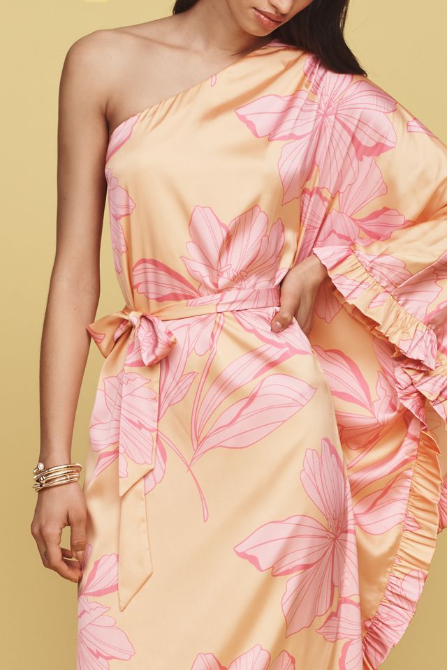 Hutch Morgan One-Sleeve Tie-Waist Midi Dress #1