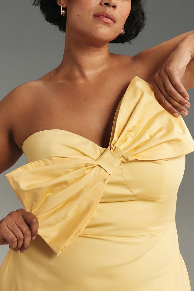 hutch colorblocked bow tie maxi dress
