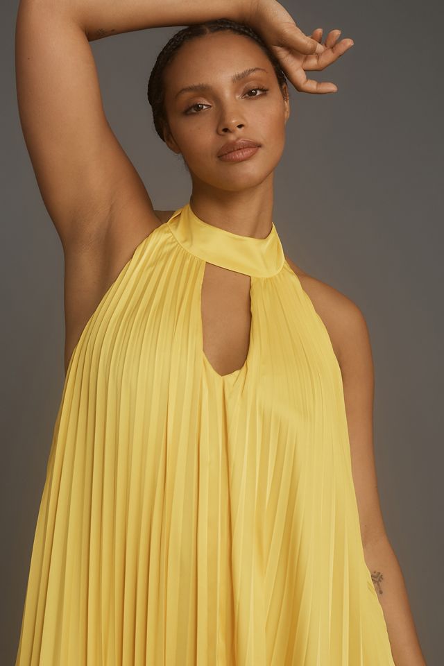 Hutch Halter Pleated Maxi Dress | Anthropologie