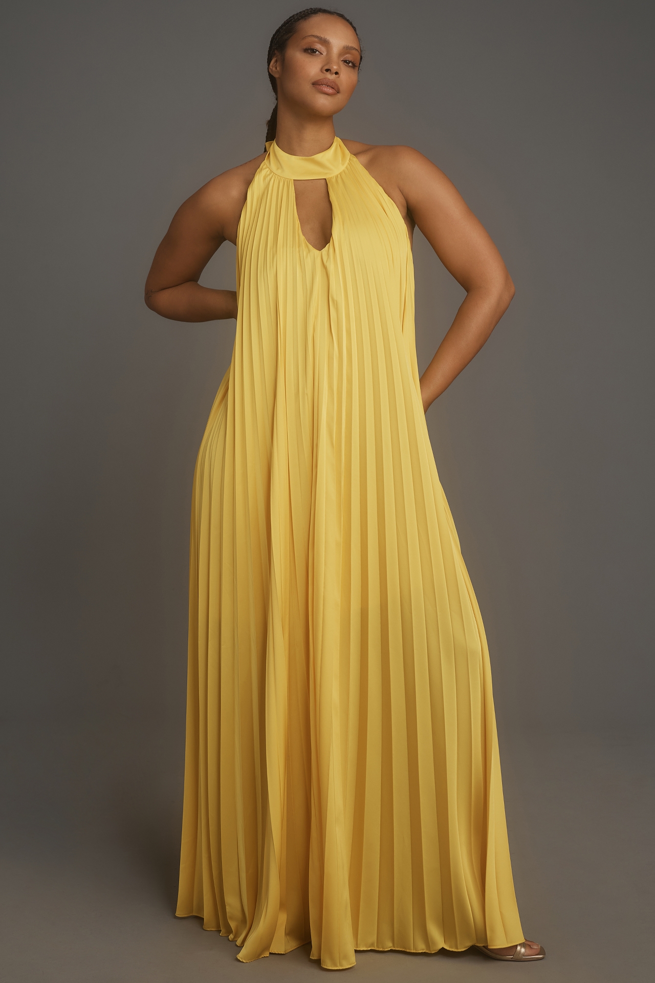 Hutch Halter Pleated Maxi Dress