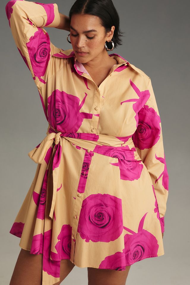 Hutch Long-Sleeve Tie-Waist Shirt Dress #4