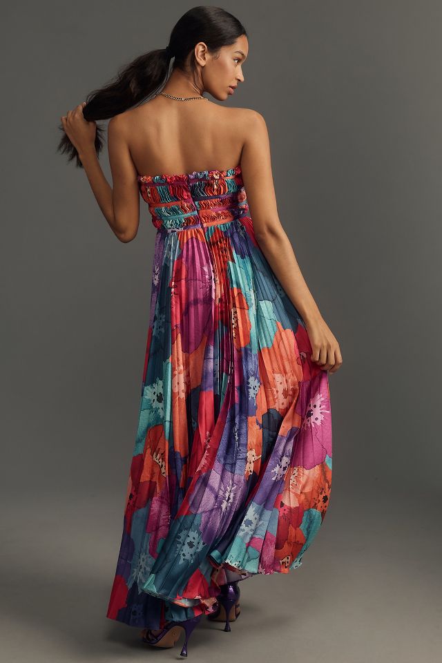 Armoire  Rent this Hutch Sabina Strapless Pleated Maxi Dress