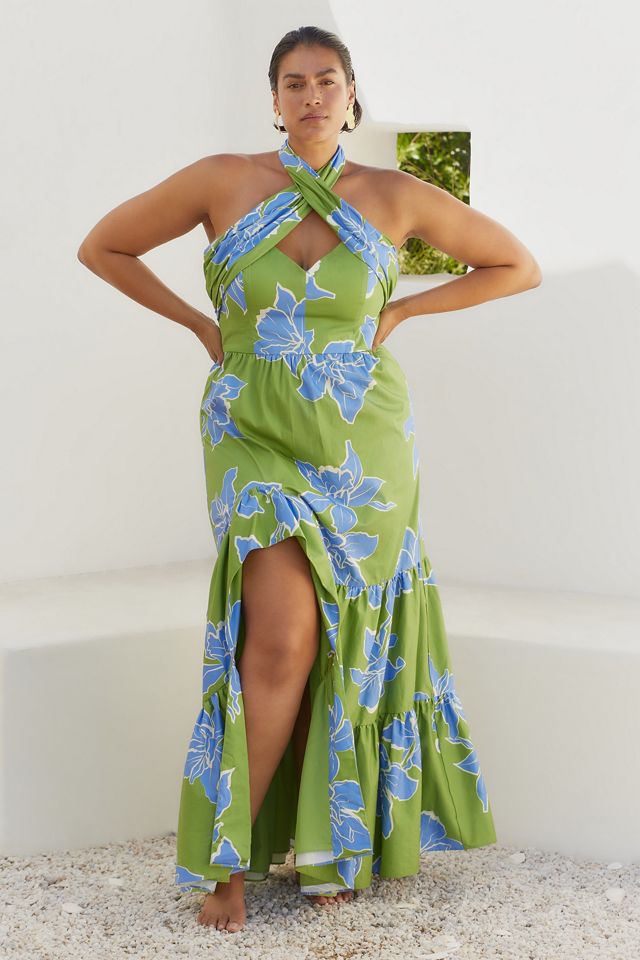 Hutch Floral Halter Maxi Dress #5