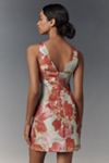Hutch Ren Sleeveless V-Back Mini Dress