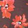 Brown Floral