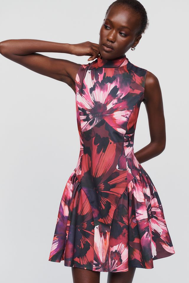 Hutch Michelle Drop Waist Mini Dress #1