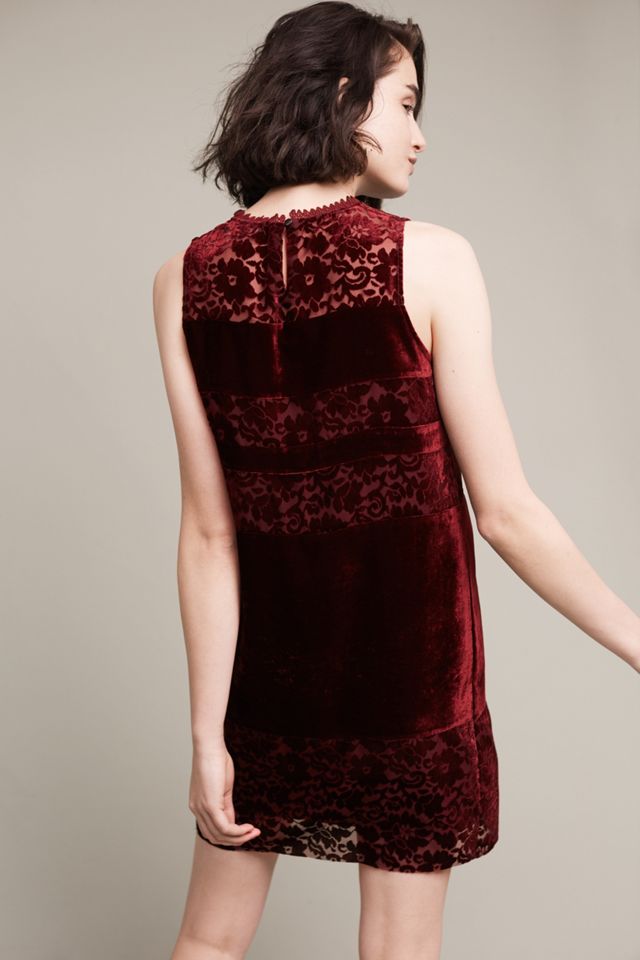 Talya Velvet Shift #2
