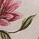 Pink Pattern