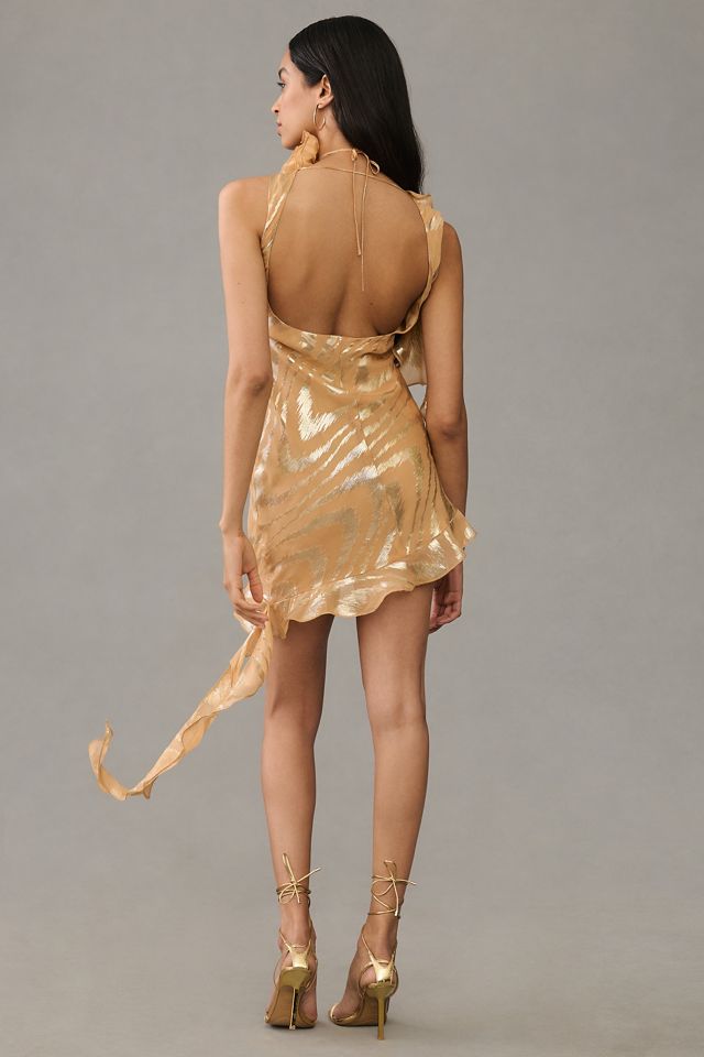 Delfi Collective Asymmetrical Ruffle Silk Dress #1