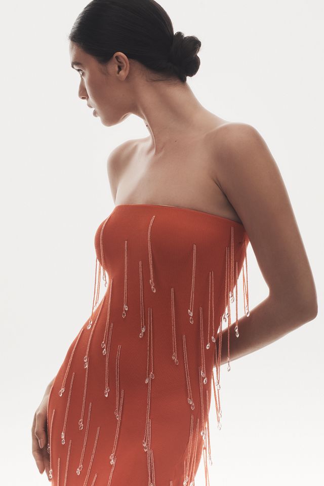 Delfi Collective Amala Strapless Crystal-Fringe Slim Midi Dress #1