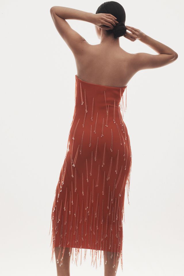 Delfi Collective Amala Strapless Crystal-Fringe Slim Midi Dress #2
