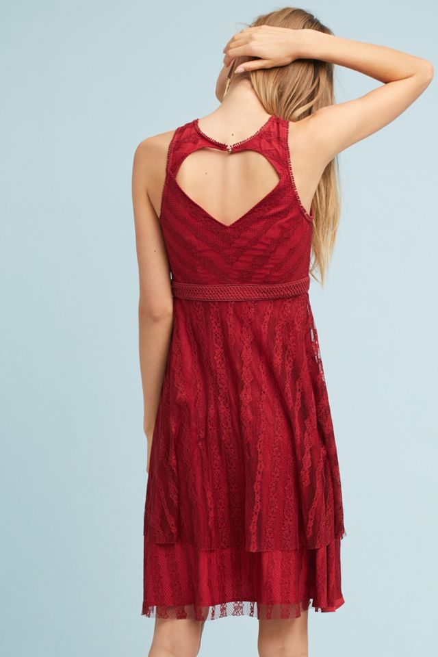 Tango Lace Dress #2