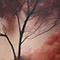Dusk Countryside