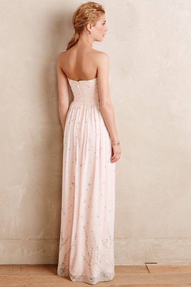 Sakara dress bhldn sale