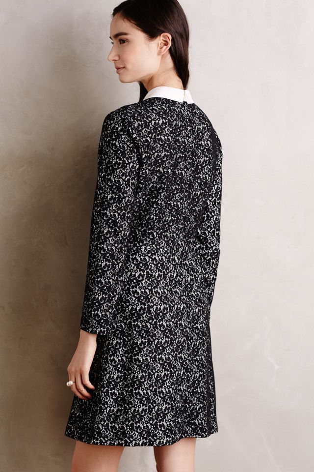 Collared Jacquard Shift #1