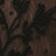 Black Pattern