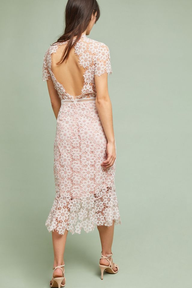 Ambrosina Lace Dress #3