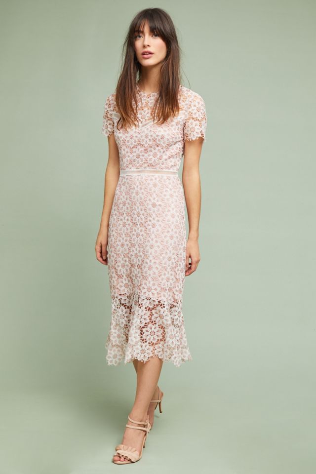 Ambrosina Lace Dress